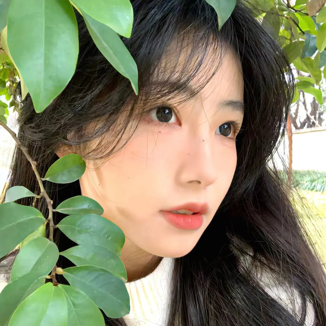 绿发仙子与森林之歌